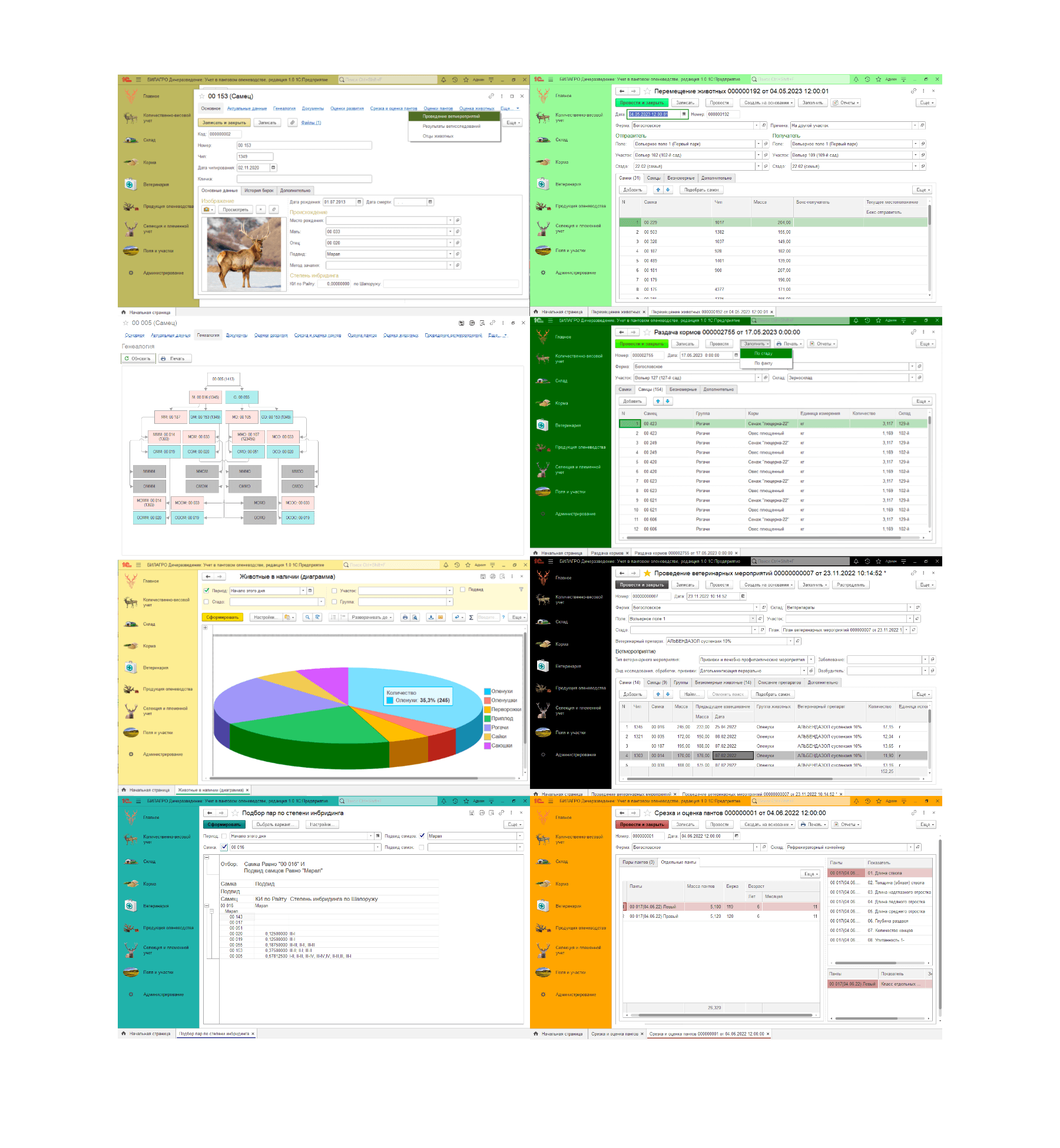 Учет в пантовом оленеводстве