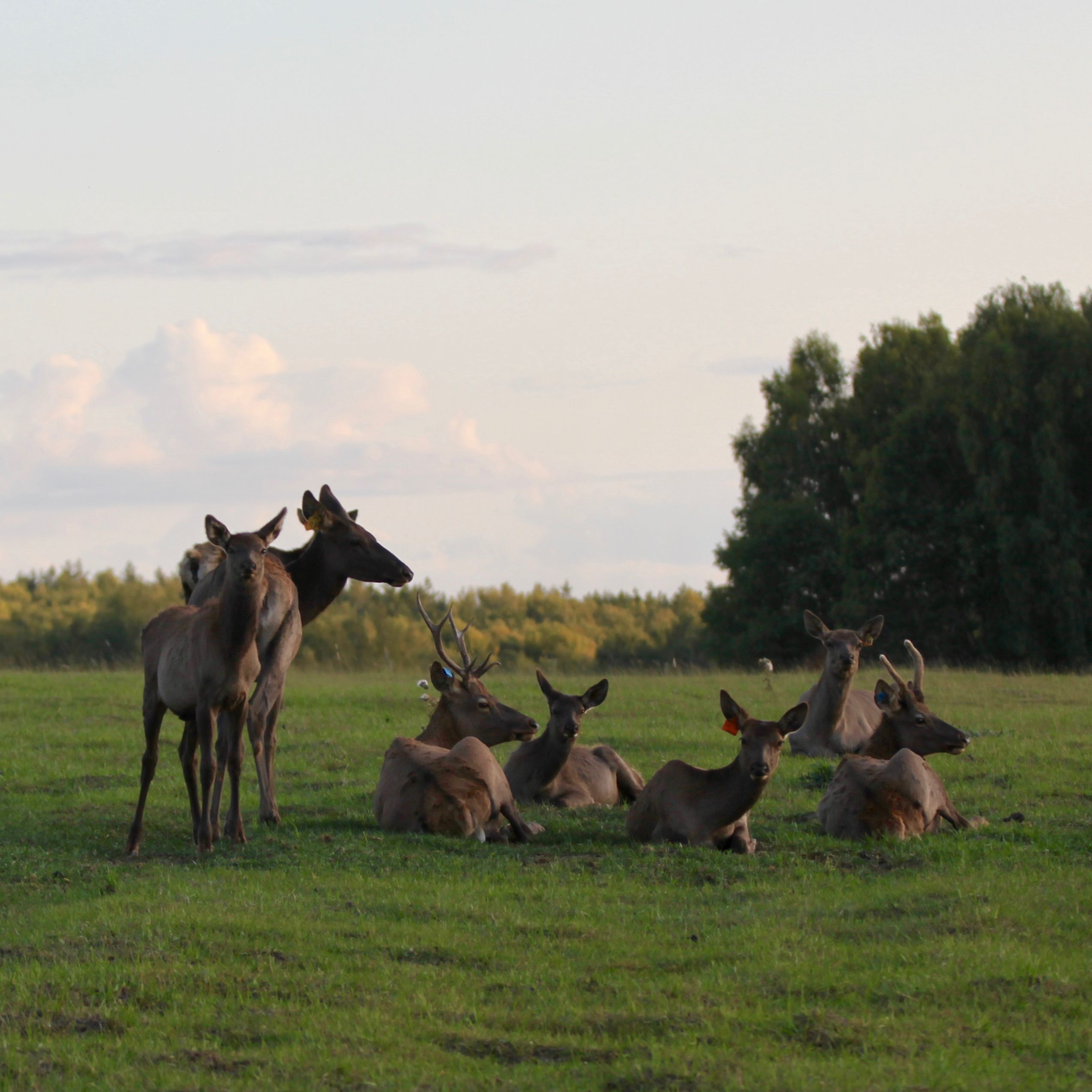 Технологии